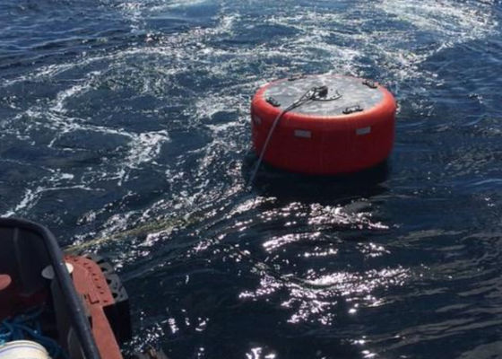 Quality Welding Intercepting Mooring Marine Navigation Buoys factory