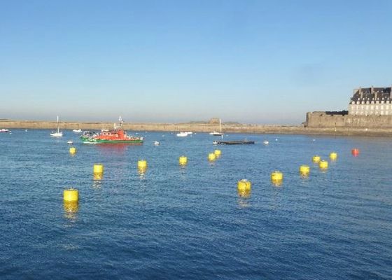 Quality 100kg Foam Filled Mooring Buoys , Ship Mooring Buoys With Chain Support factory