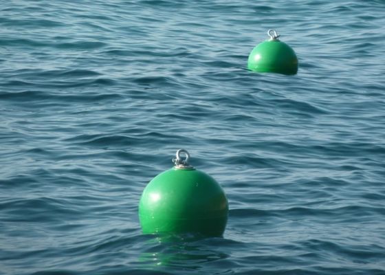 Quality Rod Offshore Mooring Buoy , Polythene Channel Marker Buoy For Water Life factory