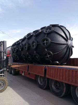 Quality Net Type Pneumatic Rubber D Fender Rubber Marine STD STS factory