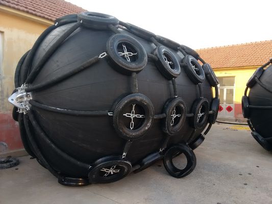 Quality Net Type Pneumatic Rubber D Fender Rubber Marine STD STS factory