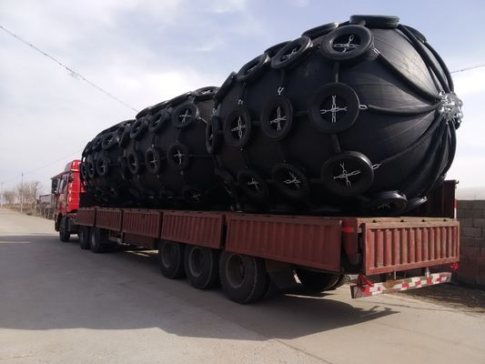 Quality Net Type Pneumatic Rubber D Fender Rubber Marine STD STS factory