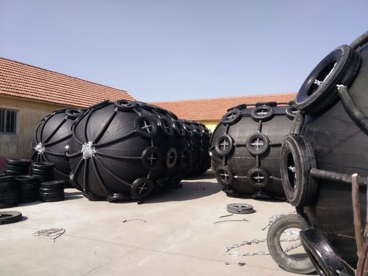 Quality Net Type Pneumatic Rubber D Fender Rubber Marine STD STS factory