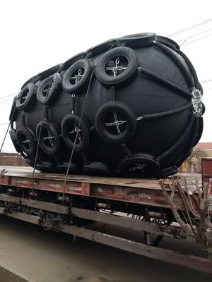 Quality Net Type Pneumatic Rubber D Fender Rubber Marine STD STS factory