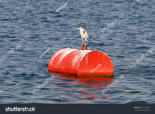 Quality Foam Filled Marine Floating And Steel Mooring Buoy With Chain Through factory