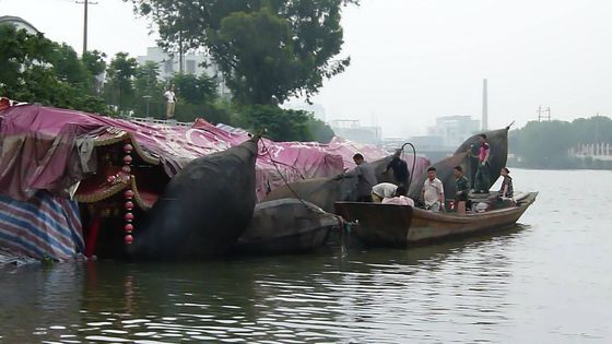 Quality Marine Inflatable Boat Hydro Pneumatic Fender Rubber Floating Boat Fender factory